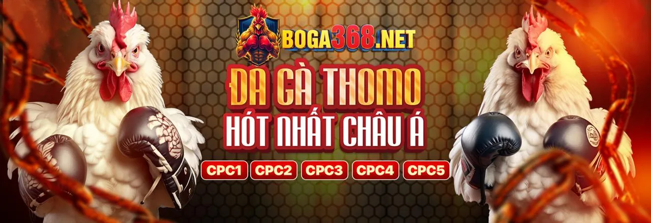 Đá Gà Trực Tuyến Kịch Tính tại Win58